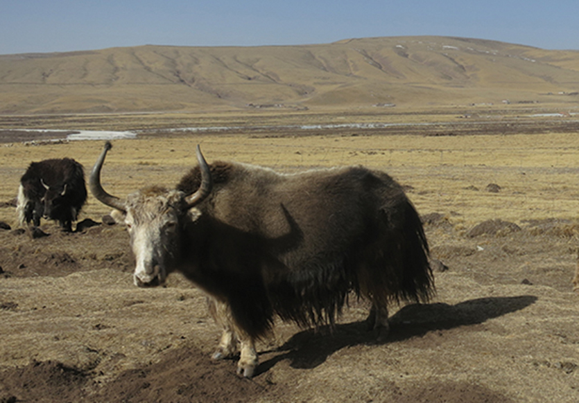 Unique Blends Triptych Center